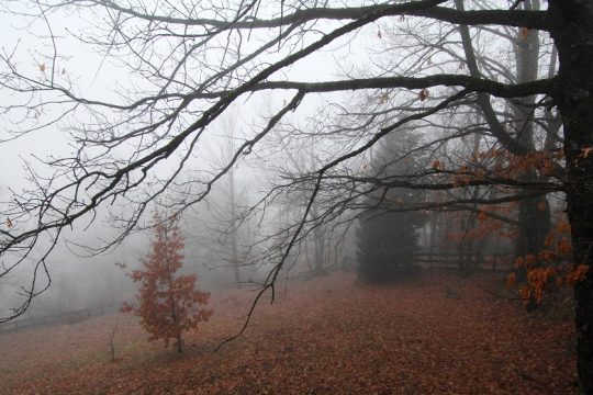 Εμείς ελπίζοντας κι ο καιρός διαβαίνοντας…