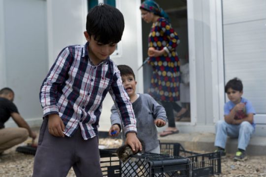 Καμπανάκι Διεθνούς Αμνηστίας για την περίθαλψη προσφύγων και μεταναστών
