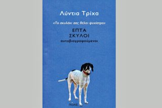Ιστορίες καθημερινής τρέλας