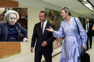 Γιατί η Βεστάγκερ ποιείται την νήσσαν