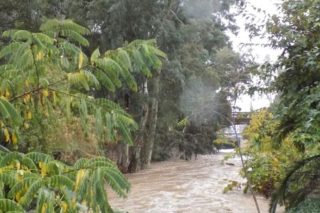 Το ΣτΕ δεν ένιψε τα χέρια του για τον Ποδονίφτη