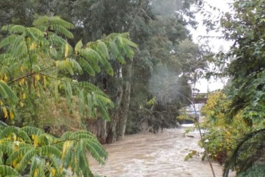 Το ΣτΕ δεν ένιψε τα χέρια του για τον Ποδονίφτη