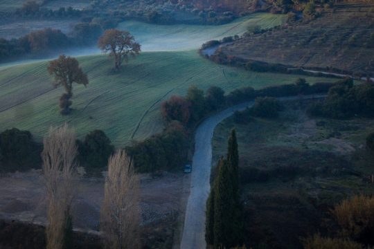 Η εκμετάλλευση των δασωμένων αγρών