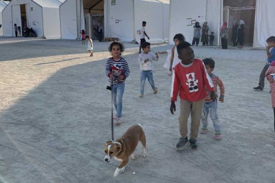 Σπαταλημένες ζωές