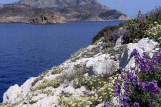 Πρωτοφανής εγκατάσταση αιολικών στα «Γκαλαπάγκος της Μεσογείου»