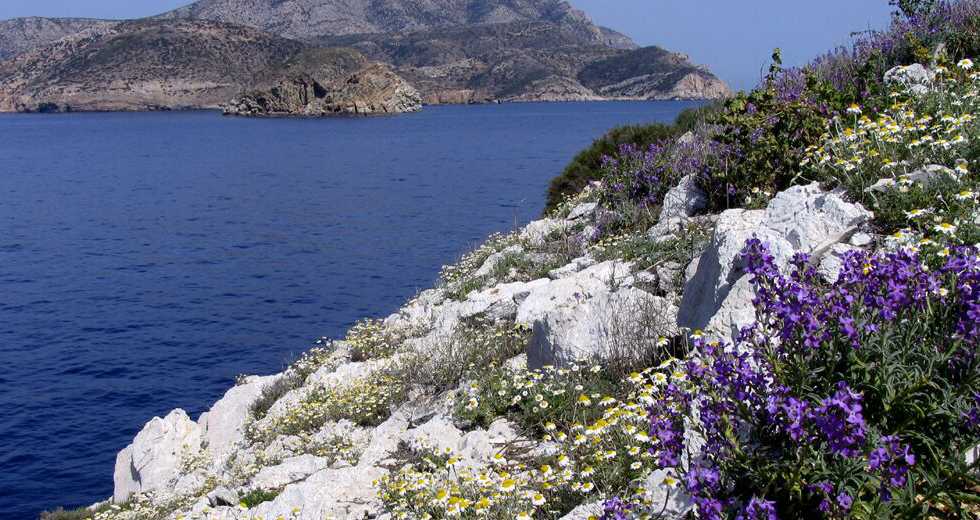 Πρωτοφανής εγκατάσταση αιολικών στα «Γκαλαπάγκος της Μεσογείου»