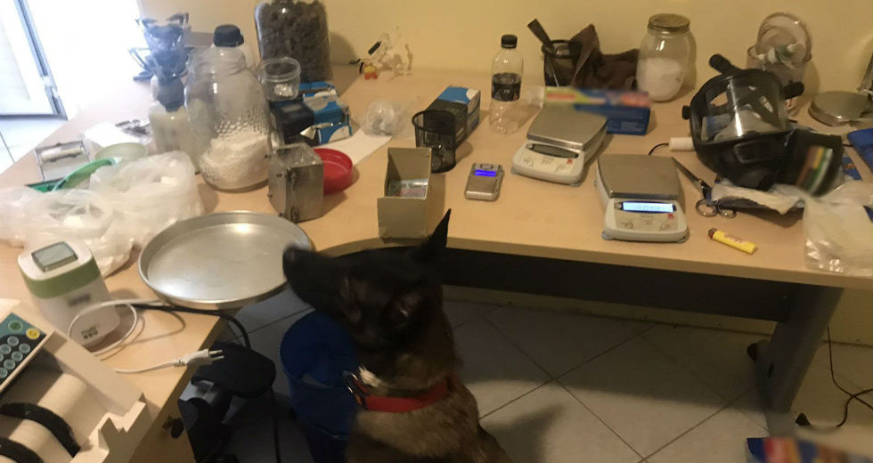 Εξαρθρώθηκαν δύο συμμορίες διακίνησης ναρκωτικών – 22 συλλήψεις