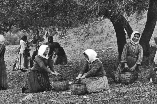 H ελληνική ύπαιθρος στα χρόνια του Εμφυλίου