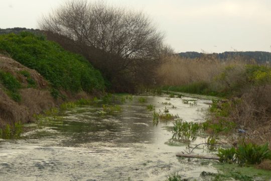 Στενάζουν τα ρέματα της Αττικής