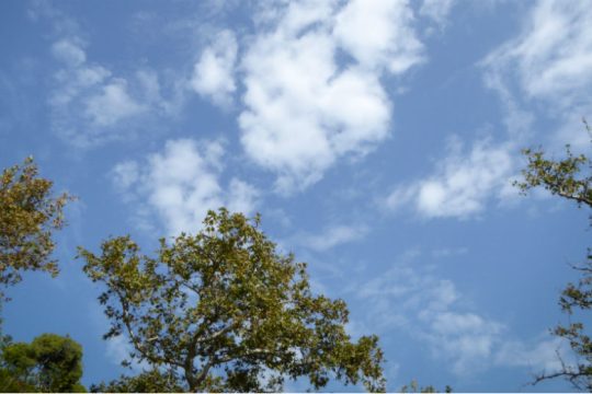 Βελτίωση του καιρού μετά το ξέσπασμα της «Βικτώριας»