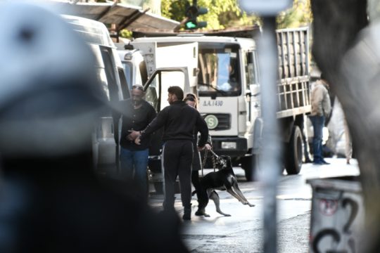 Οι γάτες της «Βανκούβερ». Θα σωθούν;