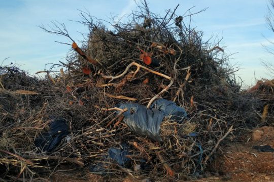 Μια νέα βραδυφλεγής βόμβα με στοίβες από καμένα κλαδιά δημιουργείται στο Μάτι