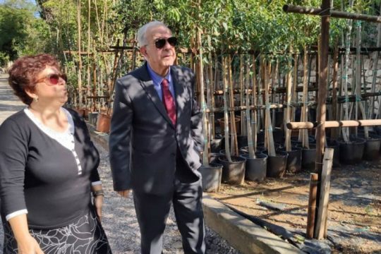 Σε εξέλιξη η φύτευση εκατοντάδων νέων δέντρων στο Ηράκλειο