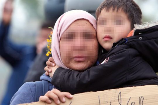 Ολα τα γουρούνια δεν είναι φασίστες
