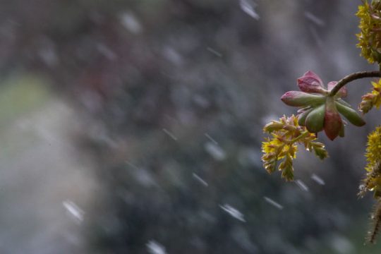 Χειμωνιάτικος o καιρός από την Κυριακή