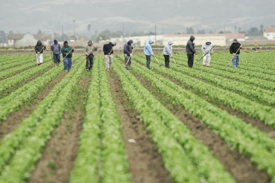 Πρόστιμο σε αγρότη για απασχόληση «παράνομου μετανάστη»