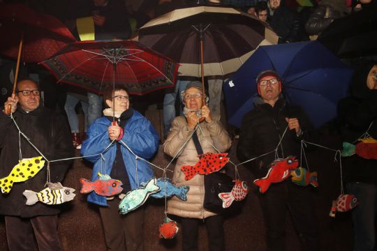 Οι «σαρδέλες» του Σαλβίνι και οι «αόρατοι νεοναζί»