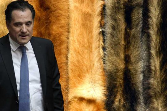 Ο Αδωνις Γεωργιάδης υπέρ της αιματοβαμμένης και τοξικής γούνας