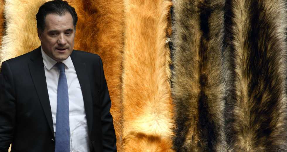 Ο Αδωνις Γεωργιάδης υπέρ της αιματοβαμμένης και τοξικής γούνας