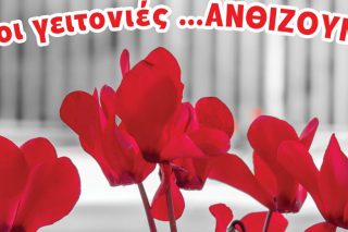 Οι γειτονιές στο Ρέντη ανθίζουν με κυκλάμινα
