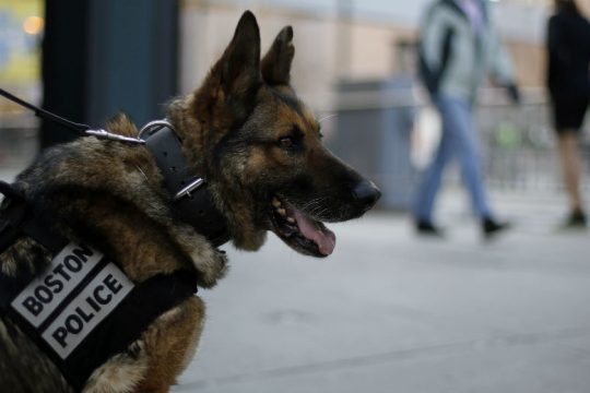 Μια γυναίκα και δύο παιδιά νεκροί σε πεζοδρόμιο της Βοστόνης