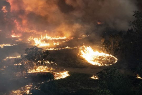 Καλούν τον στρατό για να απεγκλωβίσει τους πληγέντες από τη φωτιά στην Αυστραλία
