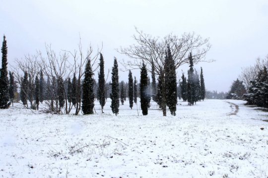 Η «Ζηνοβία» εξαπλώνεται στη χώρα