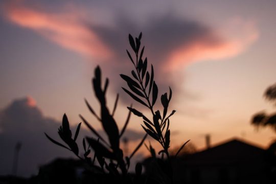 Ανοιξιάτικες θερμοκρασίες