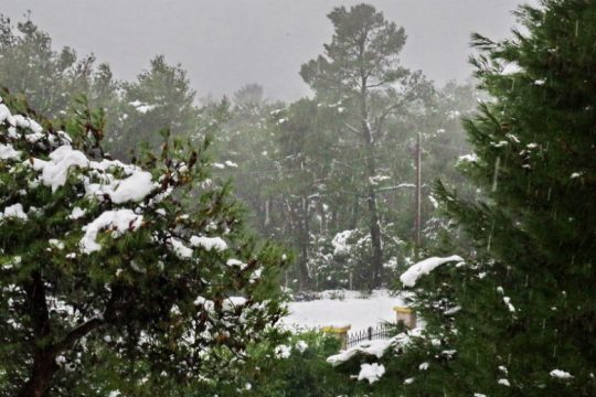 Λευκή «επέλαση» σε όλη τη χώρα