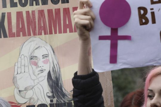 Φεμινισμός με βουλευτική ασυλία