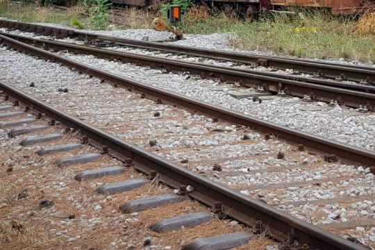 Έκτακτα, εορταστικά δρομολόγια στα τρένα