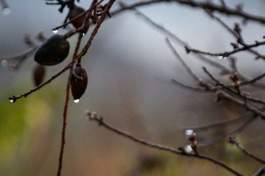 Πτώση της θερμοκρασίας και θυελλώδεις άνεμοι