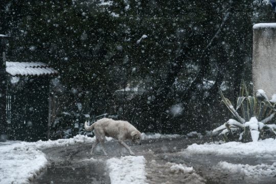 Το πέρασμα της «Ζηνοβίας» σε εικόνες