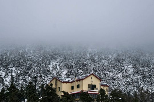 Μας έντυσε στα λευκά η Ζηνοβία