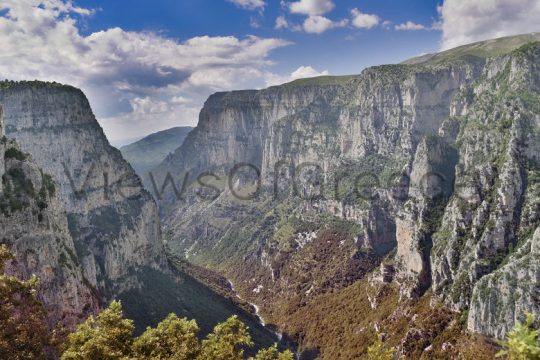 Το Μονοδένδρι του Βίκου
