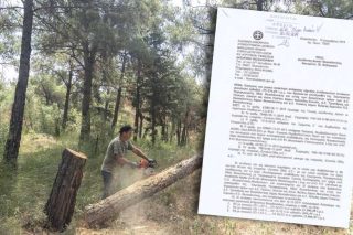 Ενα έγγραφο του Δασαρχείου λέει πολλές αλήθειες