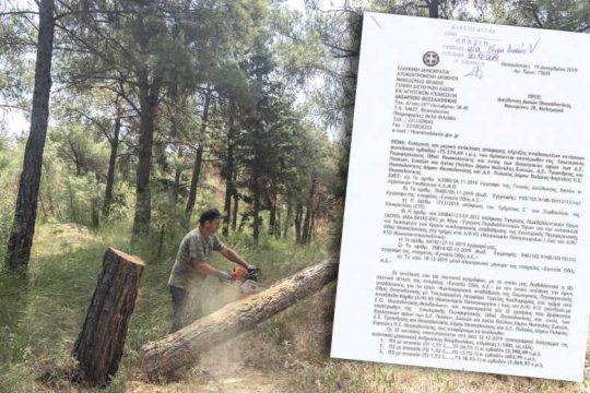 Ενα έγγραφο του Δασαρχείου λέει πολλές αλήθειες