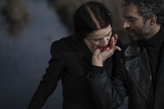 «Μεταγωγή» του Γιώργου Βέλτσου