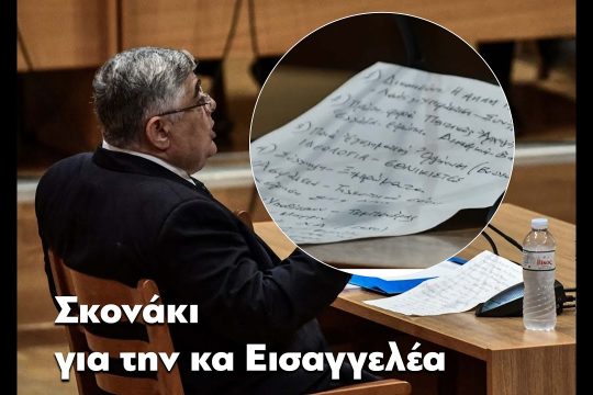 «Η Χρυσή Αυγή είναι εγκληματική γιατί είναι ναζιστική» [βίντεο]