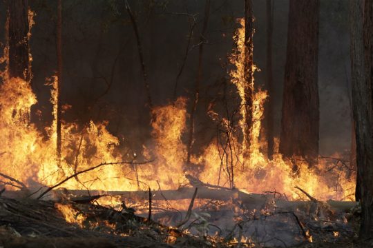Βροχές και ελπίδες στη φλεγόμενη Αυστραλία
