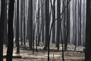Μια βροχή δεν τους σώζει…