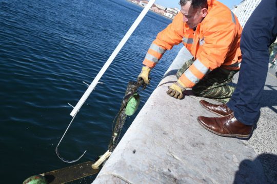 Υδρόβια τα πατίνια στη Θεσσαλονίκη