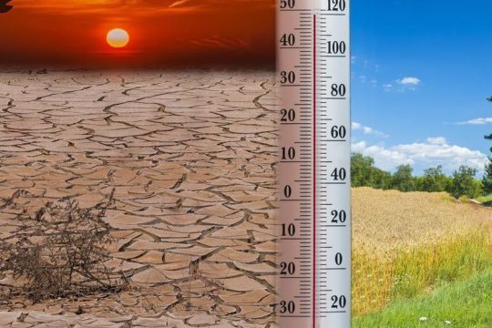 2019: Η πιο ζεστή πλανητικά χρονιά