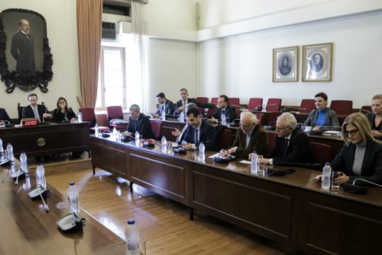 Έμπλεξε και τον (λάθος) Ραγκούση στο αφήγημά της η Ράικου