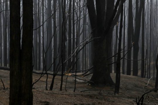 Λέκκας για Αυστραλία: Μια ήπειρος ερημοποιείται