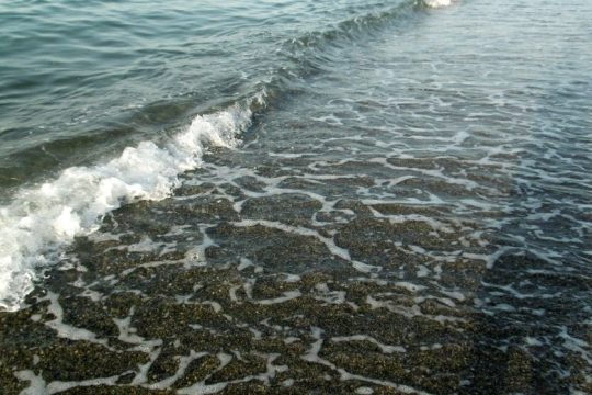 Σύλληψη 72χρονου δύτη, που ψάρευε με εκρηκτικά στα Χανιά