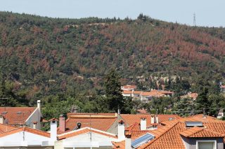 Ο κυνισμός και η προχειρότητα βλάπτουν σοβαρά το περιβάλλον…