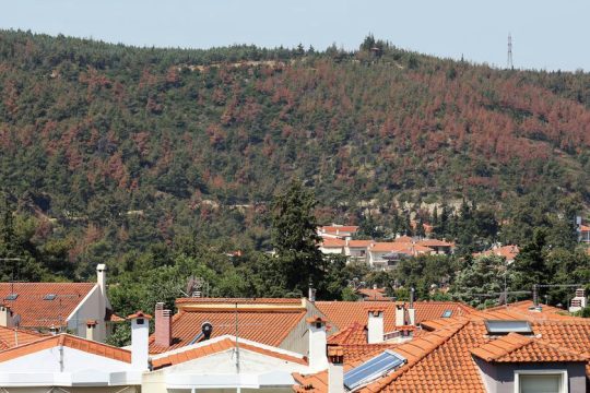 Ο κυνισμός και η προχειρότητα βλάπτουν σοβαρά το περιβάλλον…