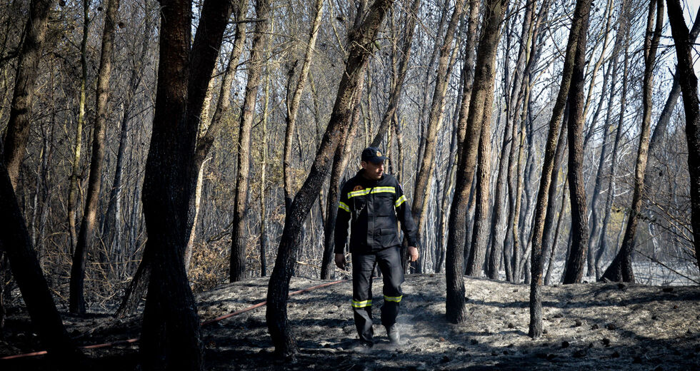 Σε απόγνωση οι 350 εργαζόμενοι στις προστατευόμενες περιοχές