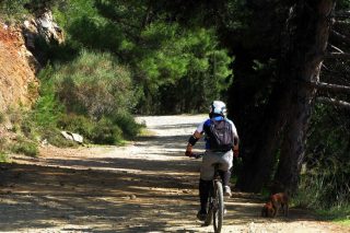 Μελέτη με υπαναχωρήσεις στην προστασία του Υμηττού